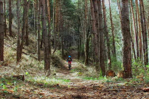 Maratón Alta Ribagorça imatge