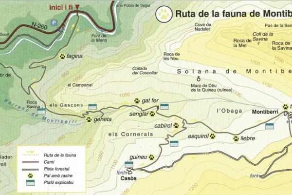 Ruta de la fauna de Montiberri imatge